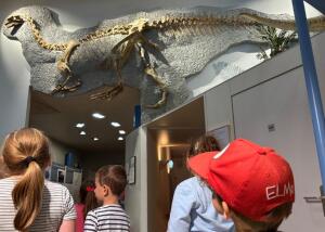Dinosaurier im Kindergarten und im Museum entdecken