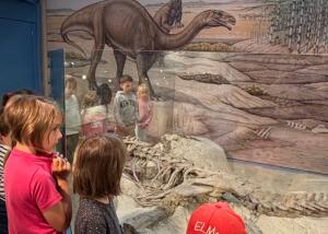Dinosaurier im Kindergarten und im Museum entdecken