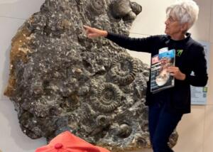 Dinosaurier im Kindergarten und im Museum entdecken