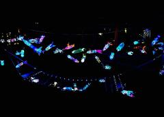 Lichterfest 2025 im Schulhaus Höhe