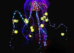 Lichterfest 2025 im Schulhaus Höhe