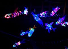 Lichterfest 2025 im Schulhaus Höhe